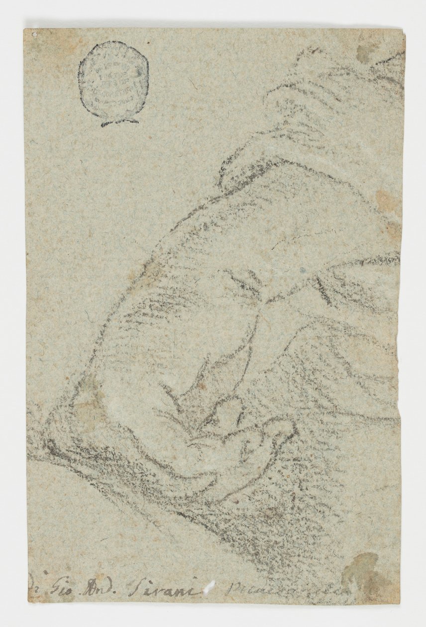 Dessin, étude : Une main gauche en position penchée, vers 1650 - Giovanni Andrea Sirani