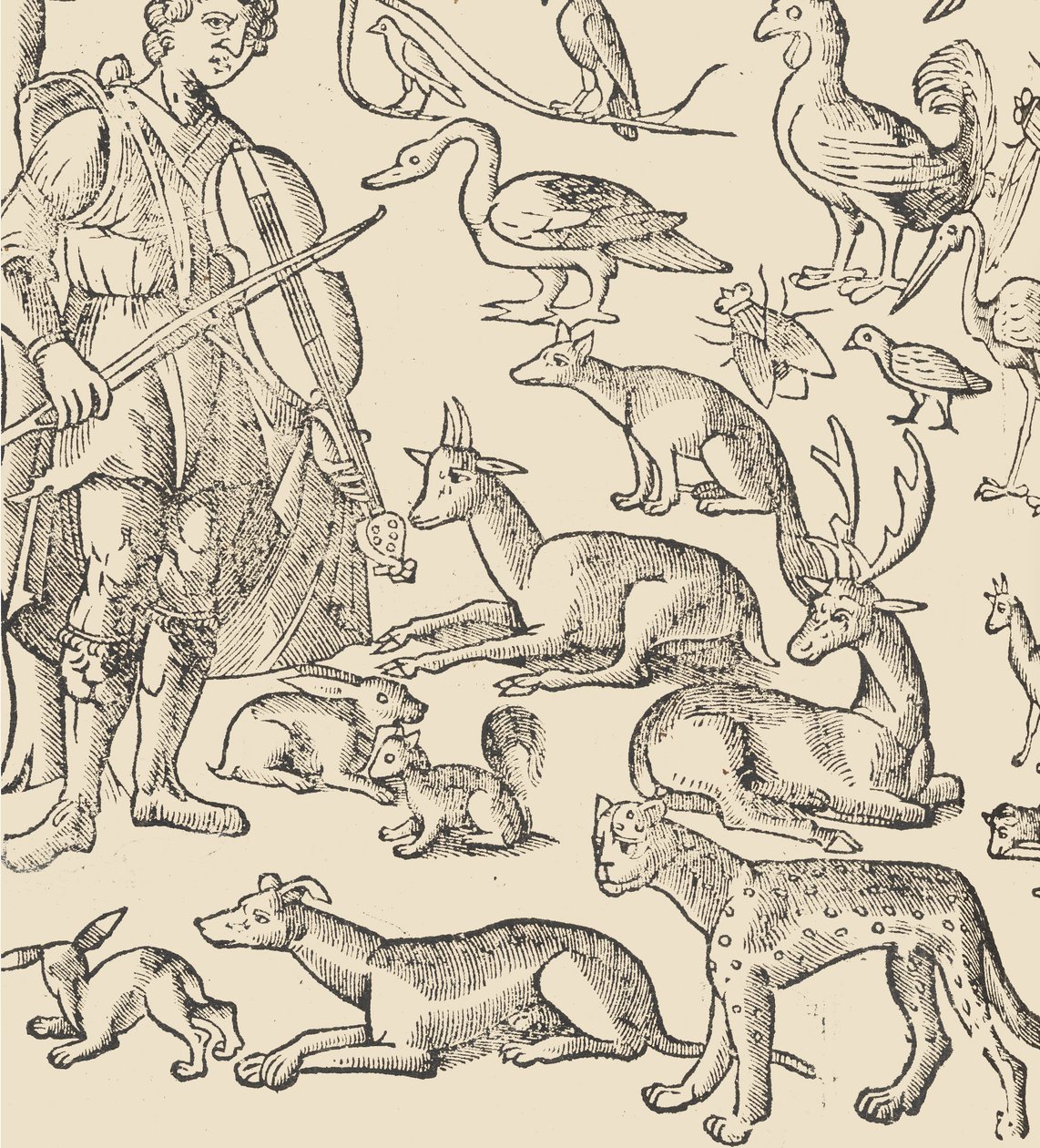 Essempio di recammi, page 12 verso, 1530 - Giovanni Antonio Tagliente