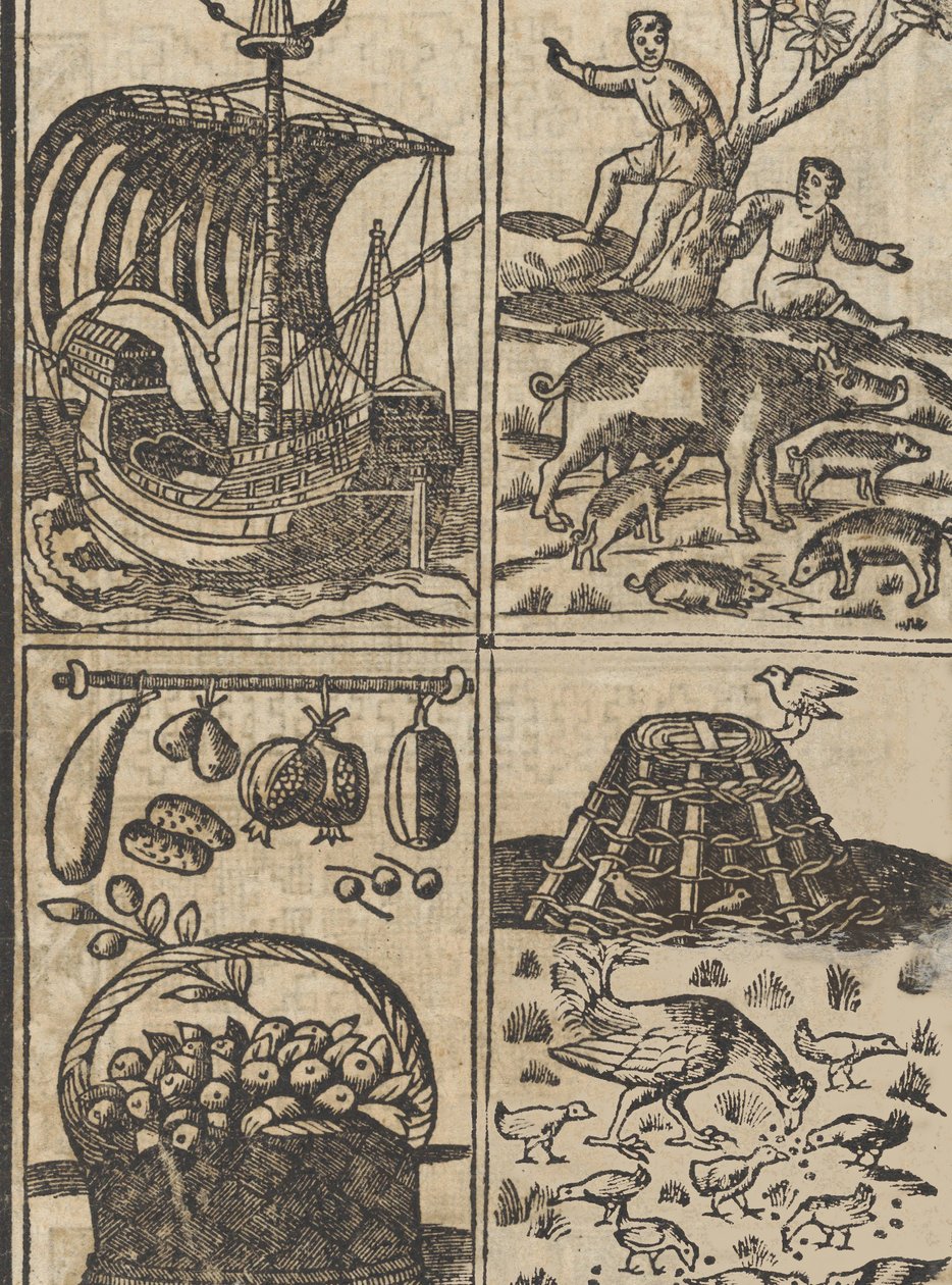 Essempio di recammi, page 9 recto, 1530 - Giovanni Antonio Tagliente