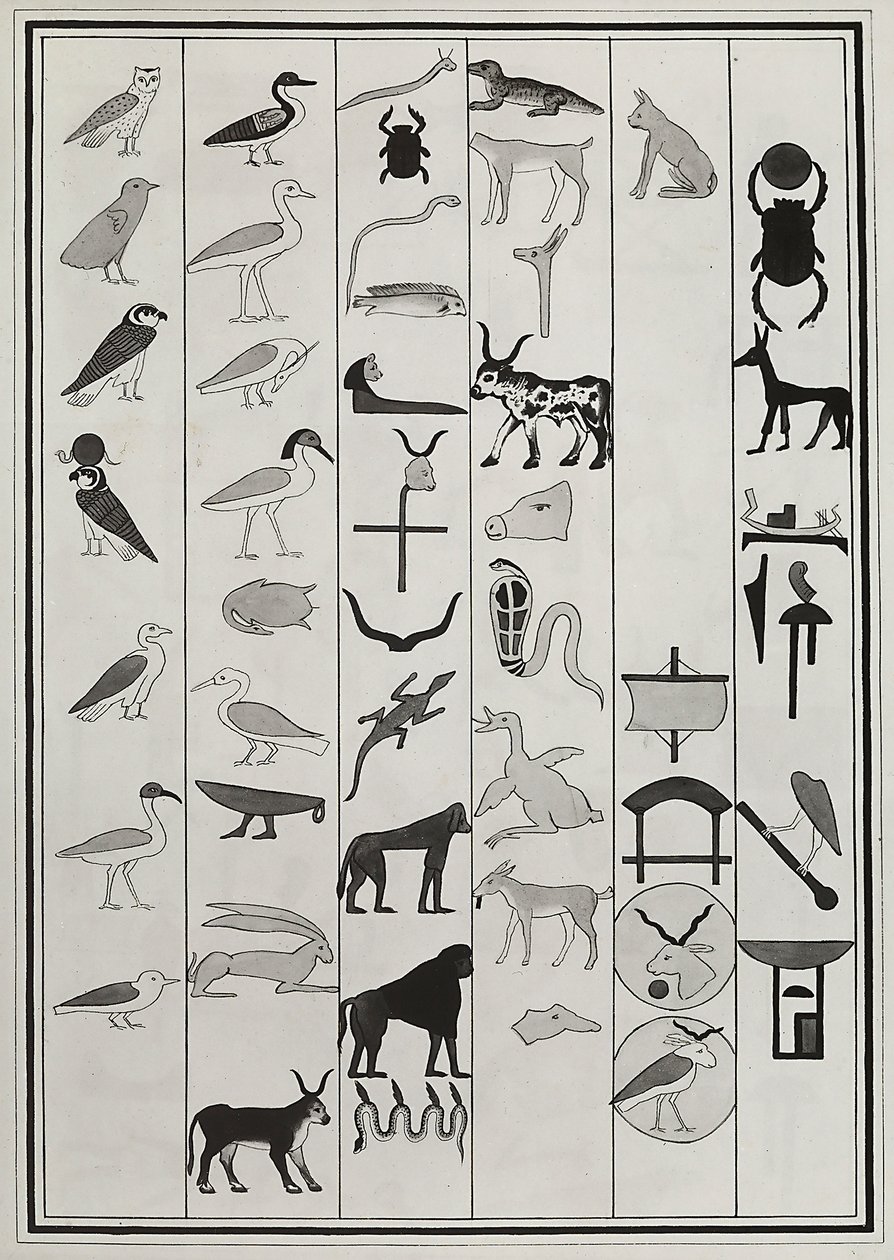 Dessins des décorations de l