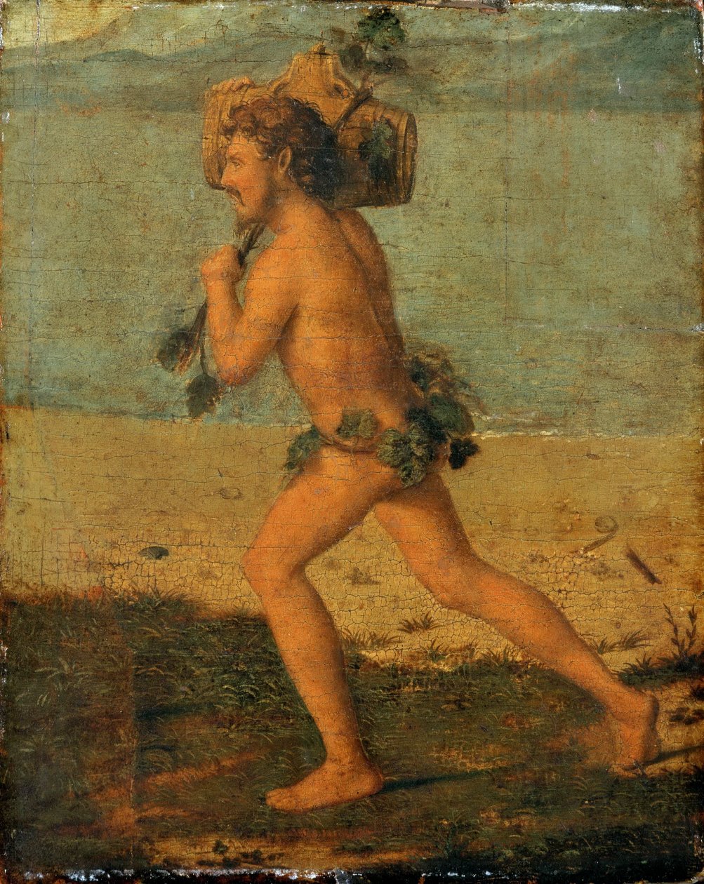 Bacchant - Giovanni Battista Cima da Conegliano