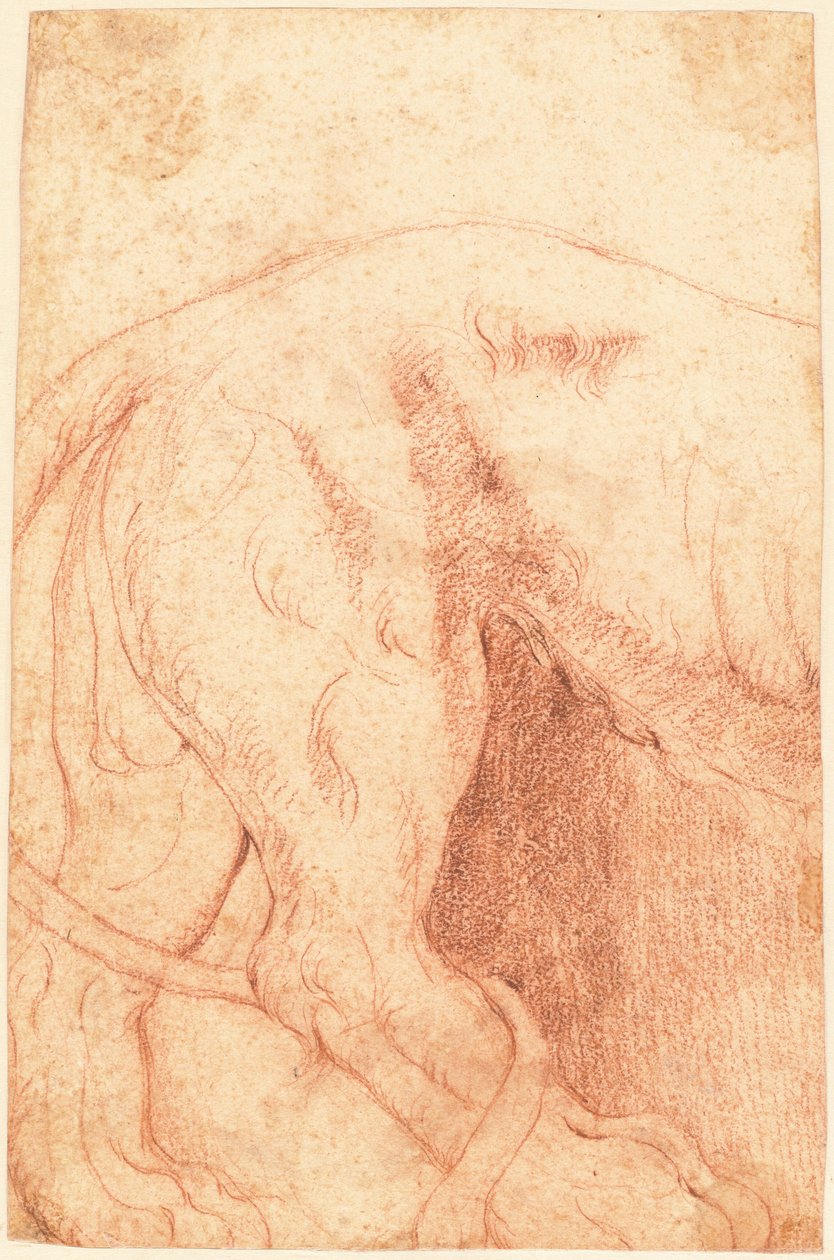 Fragment eines Löwen-Reliefs (verso) - Giovanni Battista Piranesi