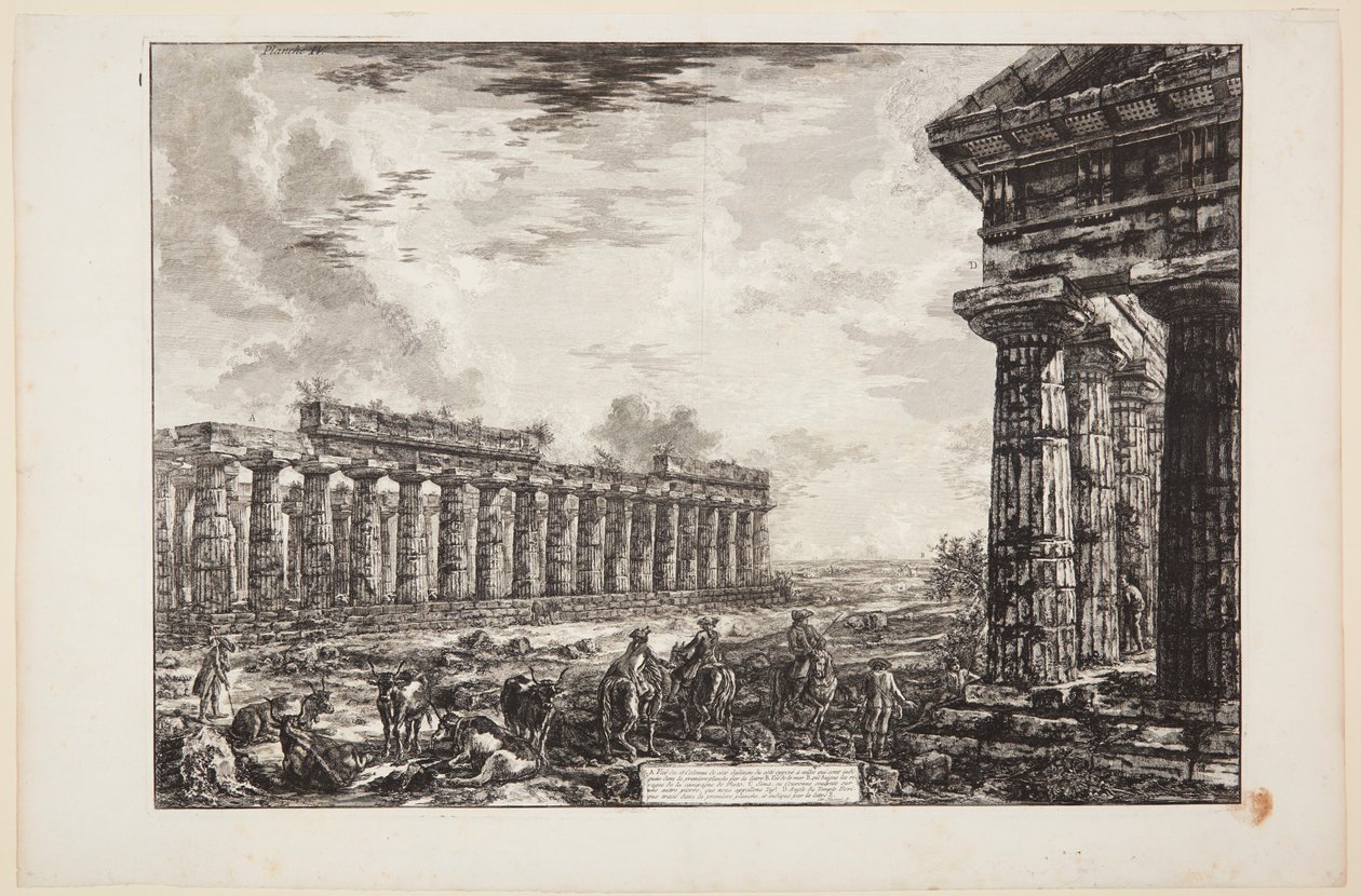 Vue des 18 colonnes latérales, dessinée du côté opposé à celui représenté dans la première planche [...] - Giovanni Battista Piranesi