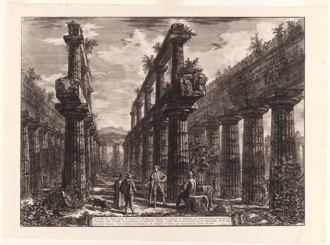 Vue des restes des deux rangées de colonnes dans le temple de Neptune qui formaient à l