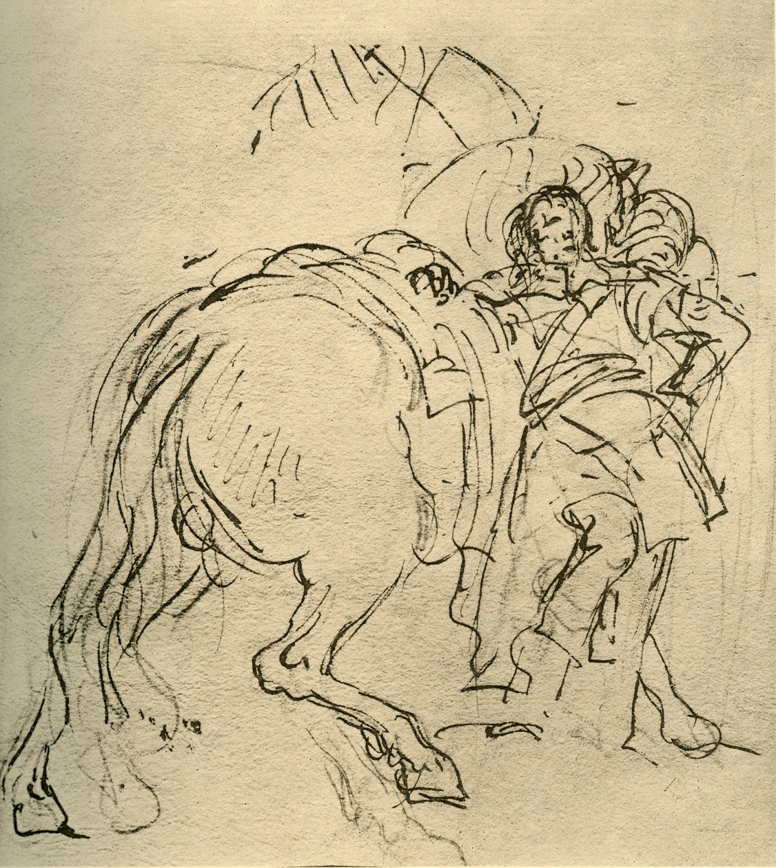 Un cavalier s