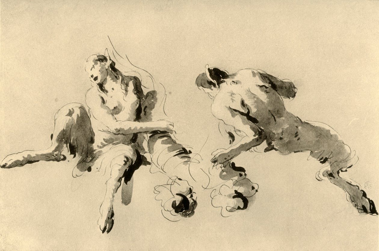 Faune mâle et femelle avec corne d