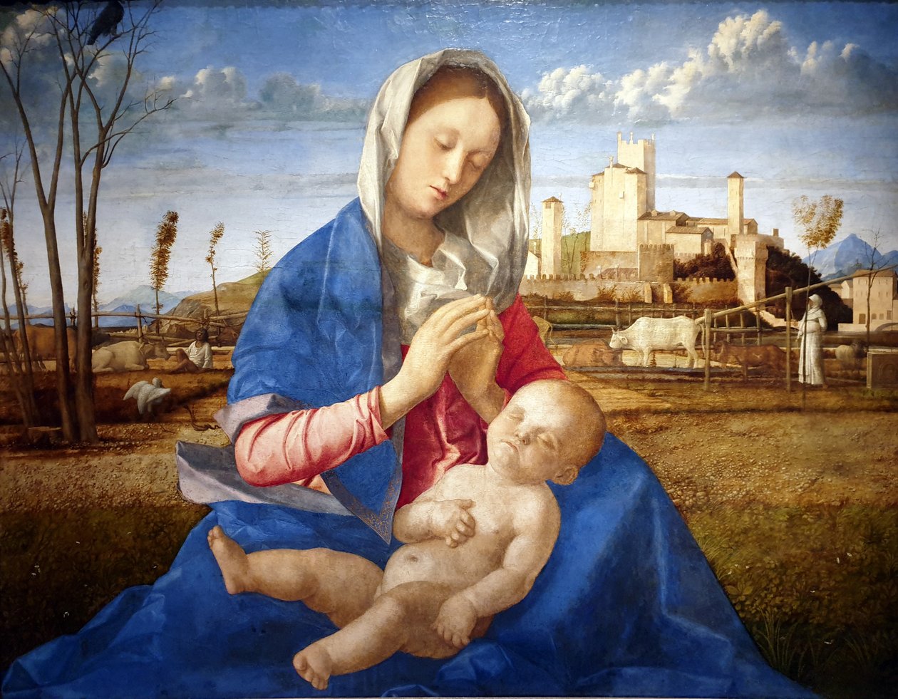 Madone de la prairie - Giovanni Bellini