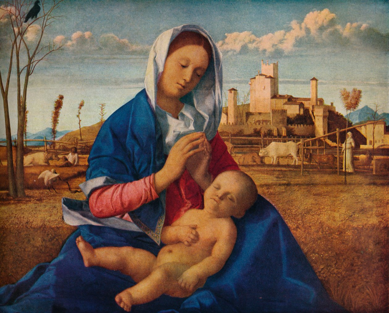 Madone des Prairies, vers 1500 - Giovanni Bellini