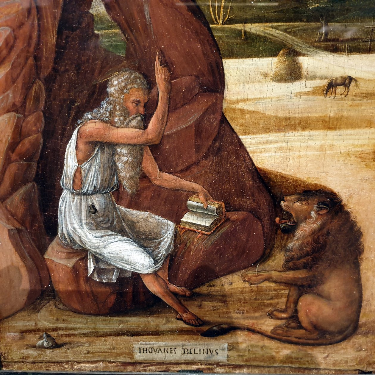 Saint Jérôme dans le désert - Giovanni Bellini