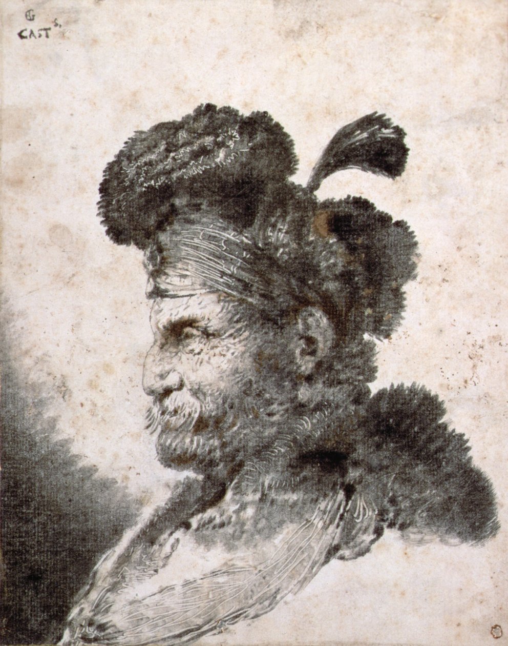 Tête d