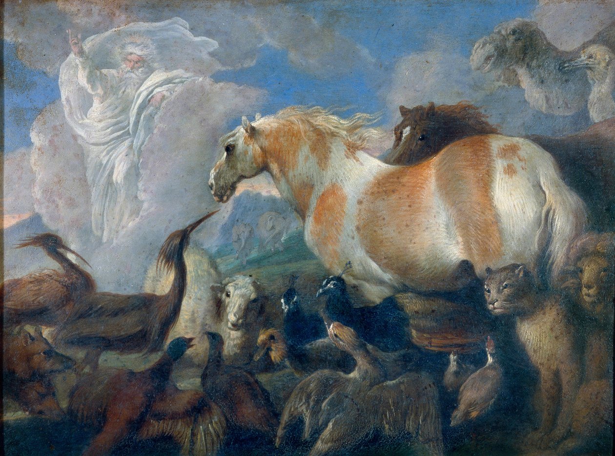 La création - Giovanni Benedetto Castiglione