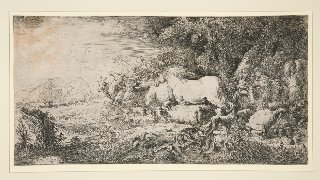 Les animaux entrant dans l