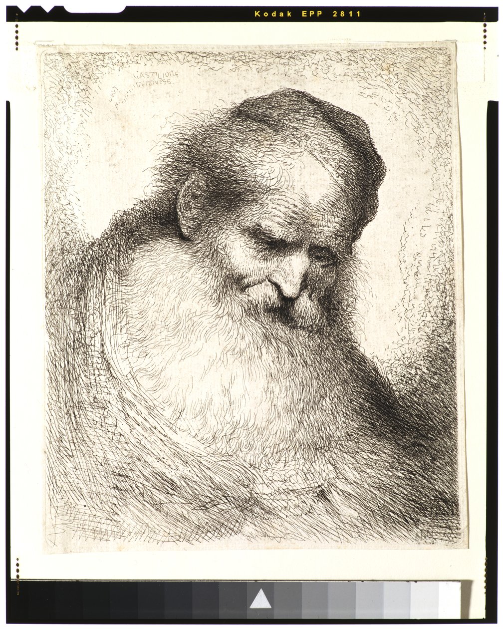 Vieil homme barbu avec la tête penchée en avant, portant une calotte, face à droite - Giovanni Benedetto Castiglione