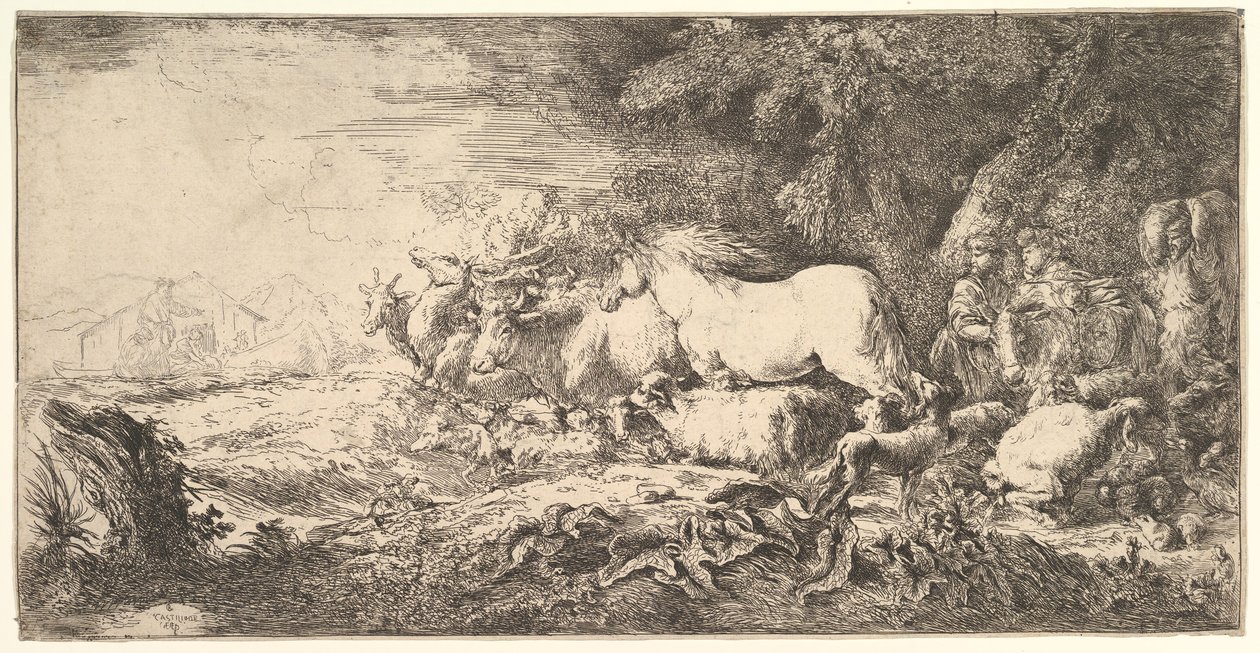 Entrée des animaux dans l