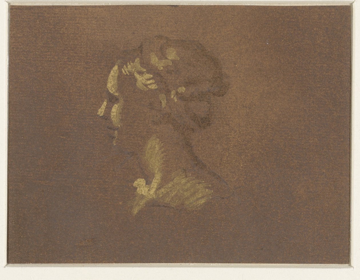 Tête de jeune fille - Giovanni Benedetto Castiglione