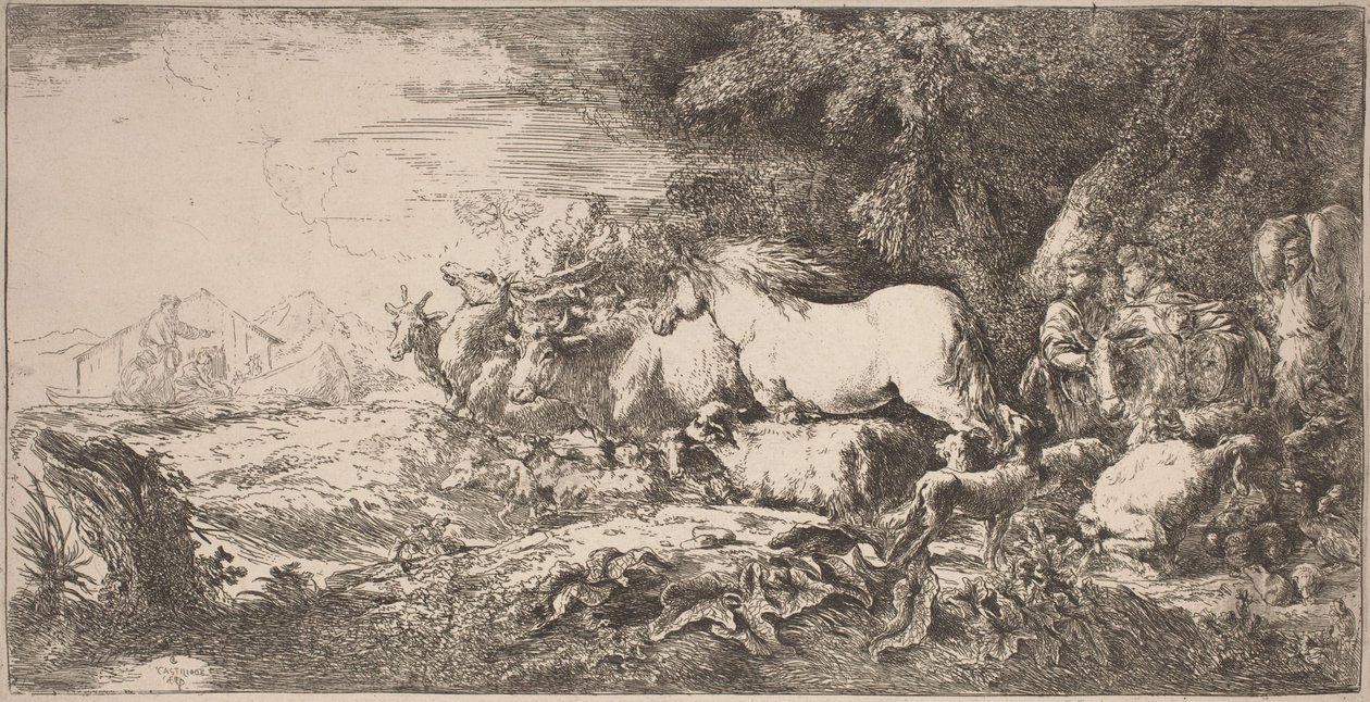 Les animaux allant vers l