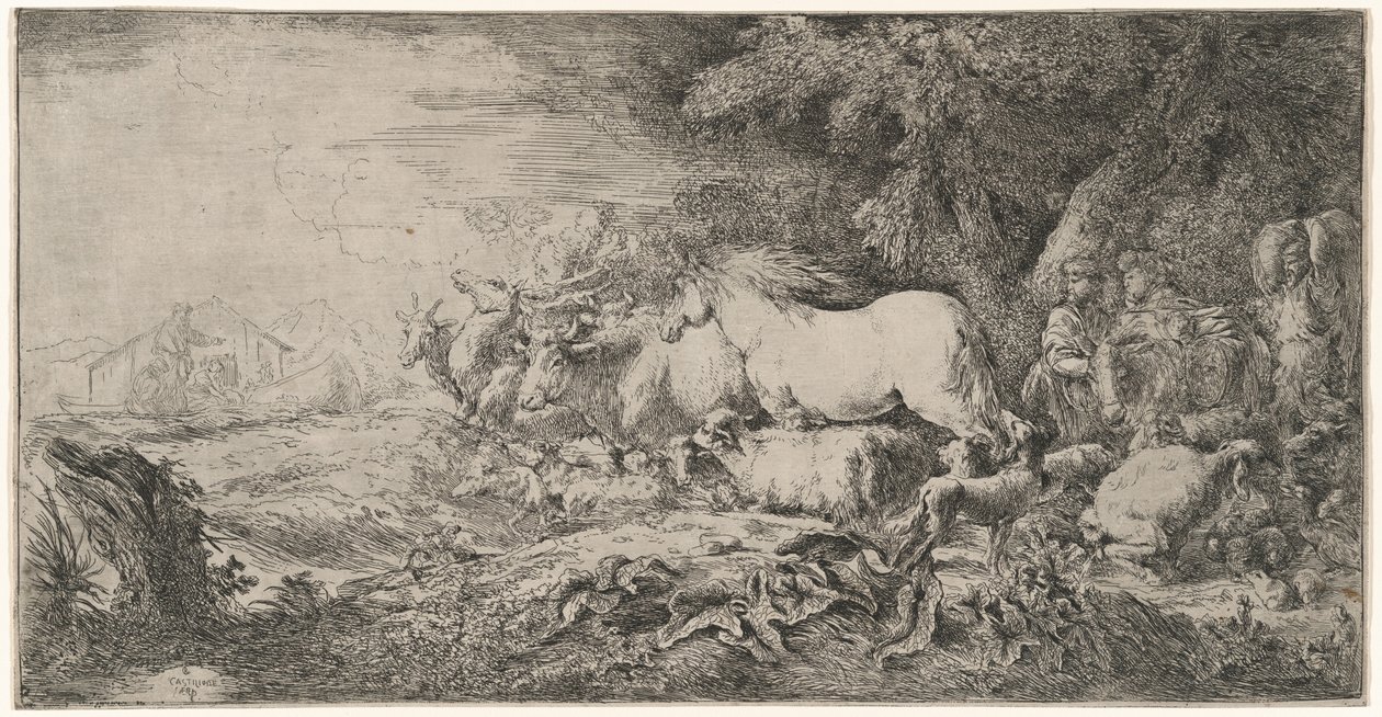 Les animaux allant vers l