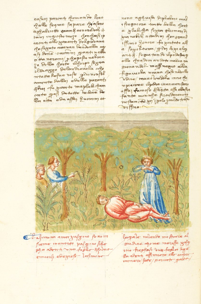 Décaméron, Le plant de sauge - Mort de Pasquino , Quatrième journée, nouvelle 7. - Giovanni Boccaccio