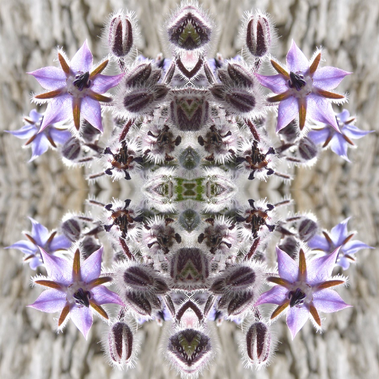 Unnatural 159 - Giovanni Cafagna