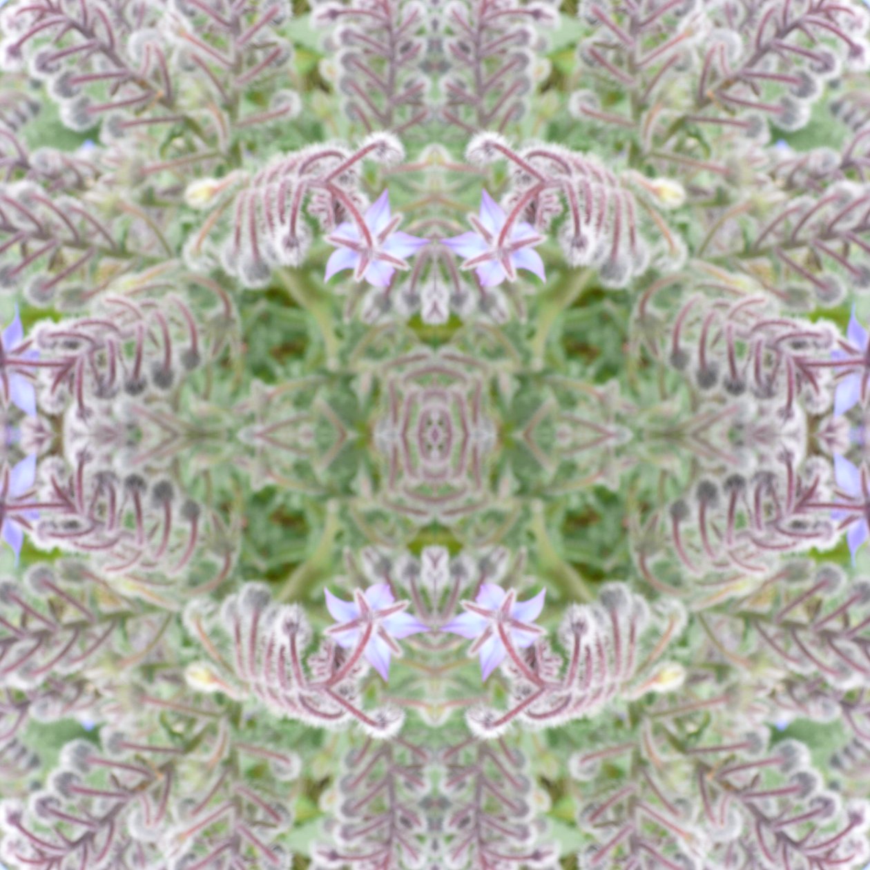 Unnatural 161 - Giovanni Cafagna