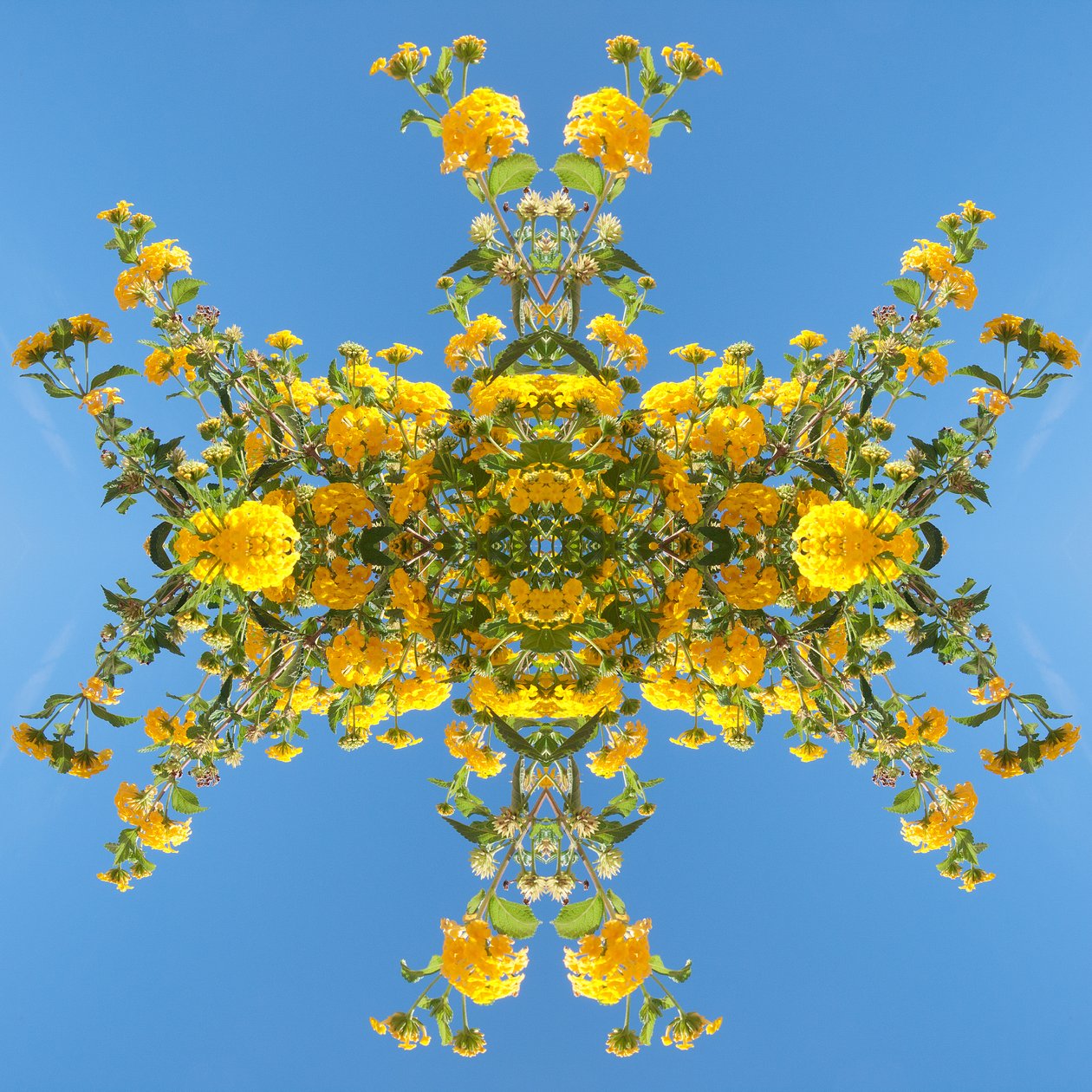 Unnatural 193 - Giovanni Cafagna