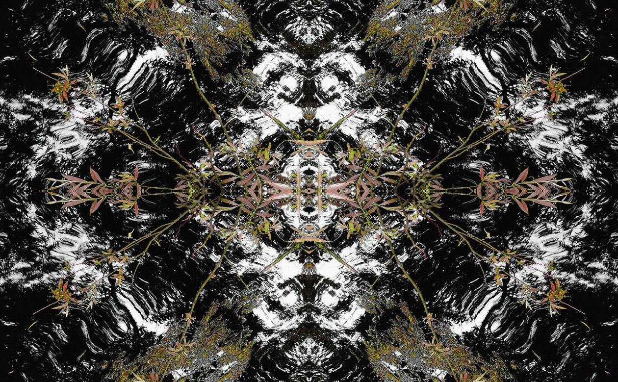 Non naturel 37 - Giovanni Cafagna