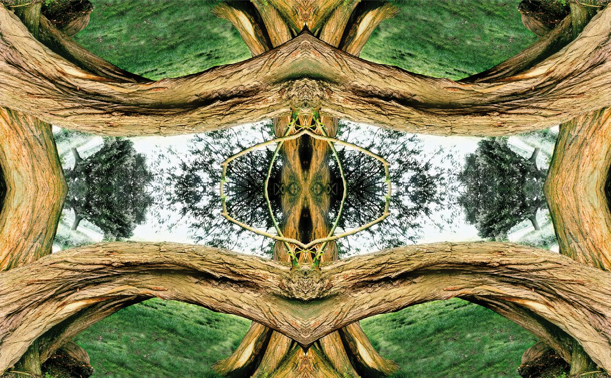 Non naturel 37 - Giovanni Cafagna