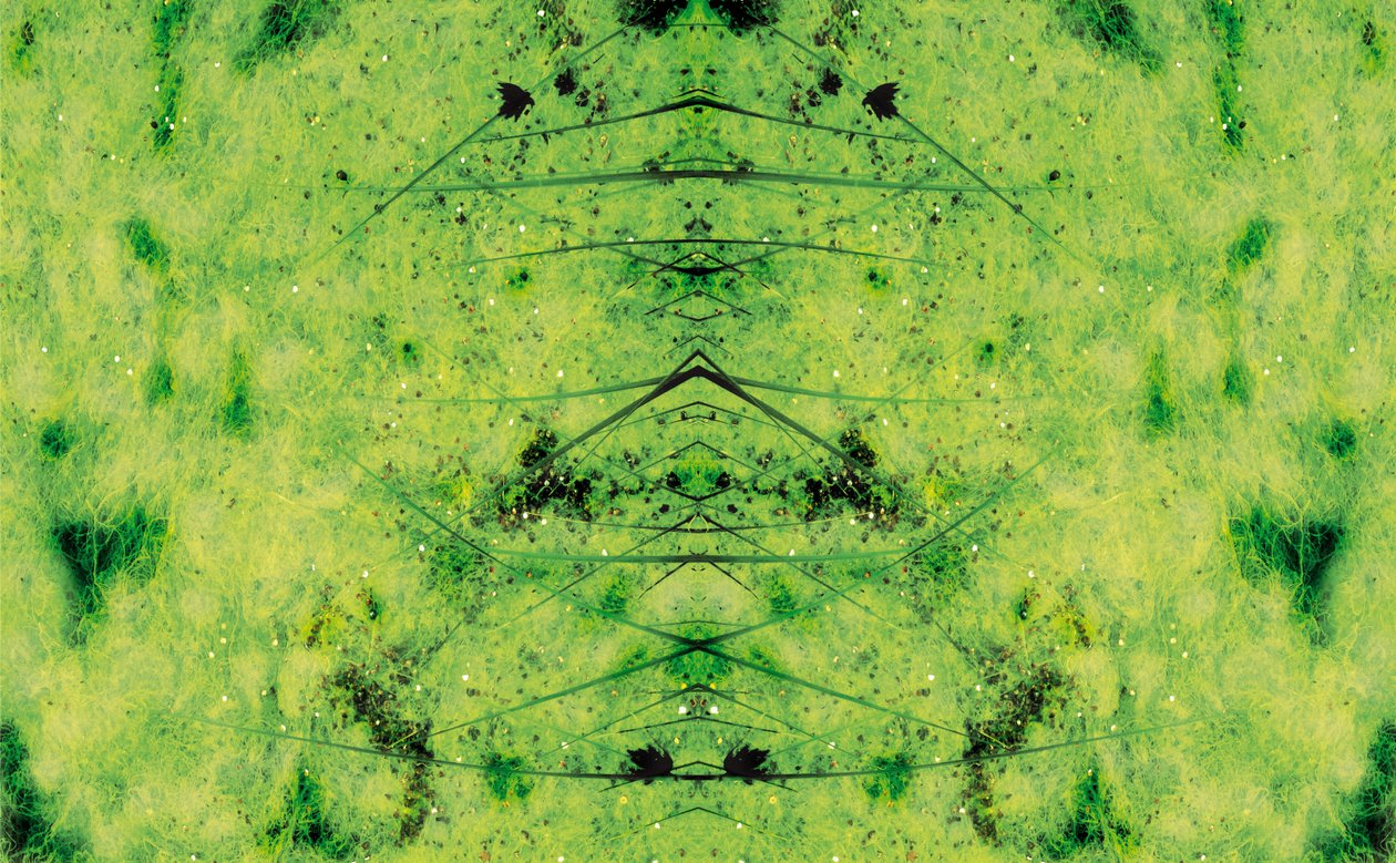 Non naturel 3 - Giovanni Cafagna