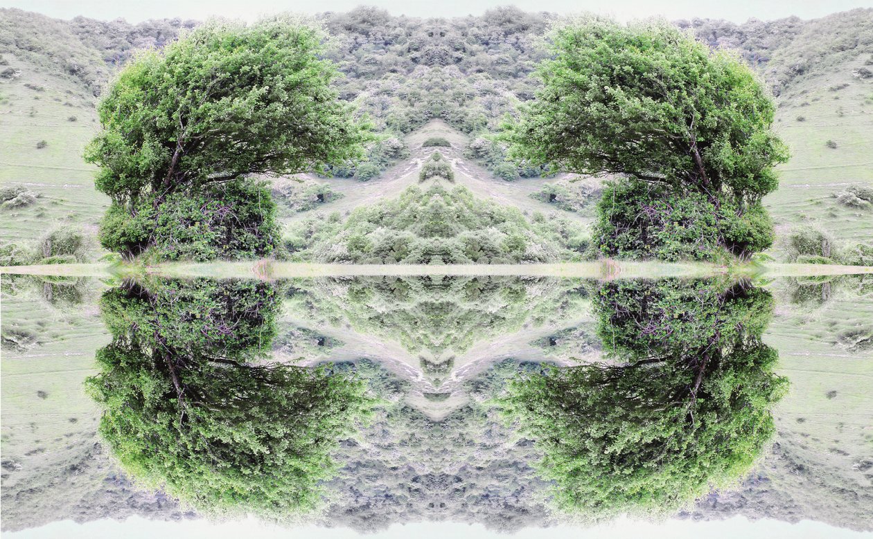 Non naturel 40 - Giovanni Cafagna