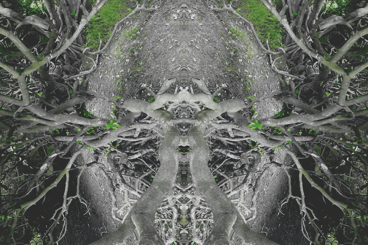 Non naturel 42 - Giovanni Cafagna