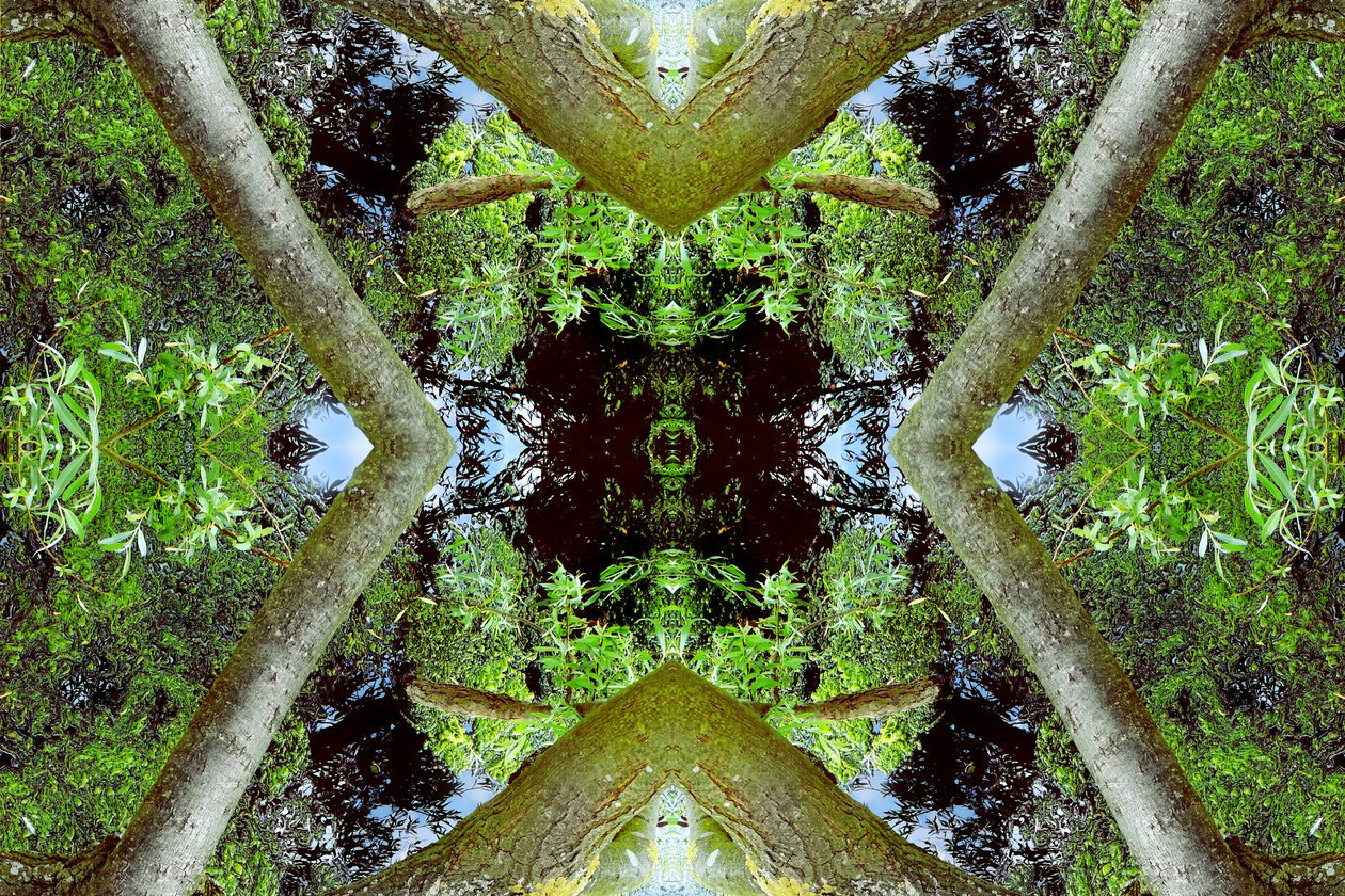 Non naturel 65.3 - Giovanni Cafagna