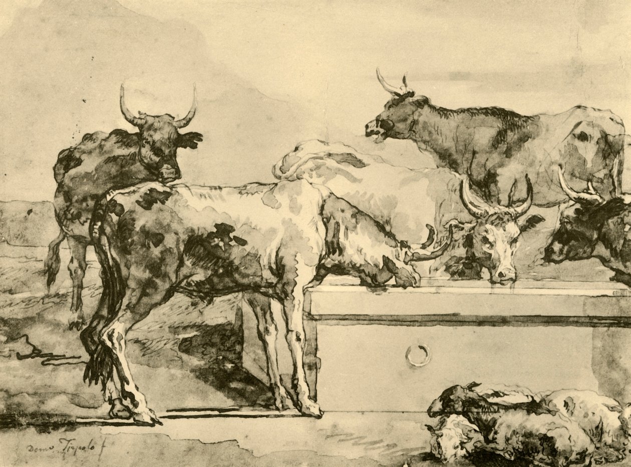 Vaches s