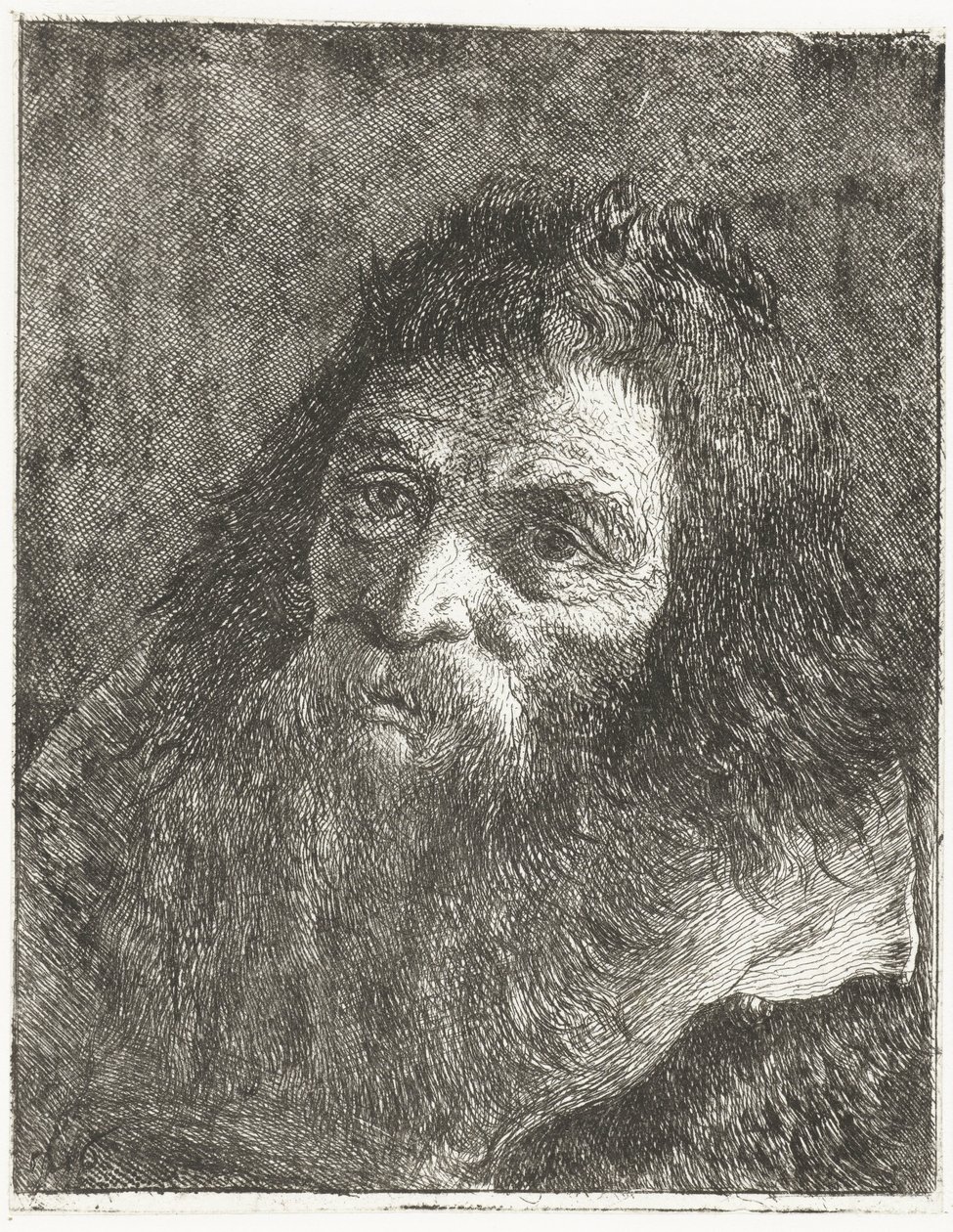 Homme aux cheveux longs et à la barbe - Giovanni Domenico Tiepolo
