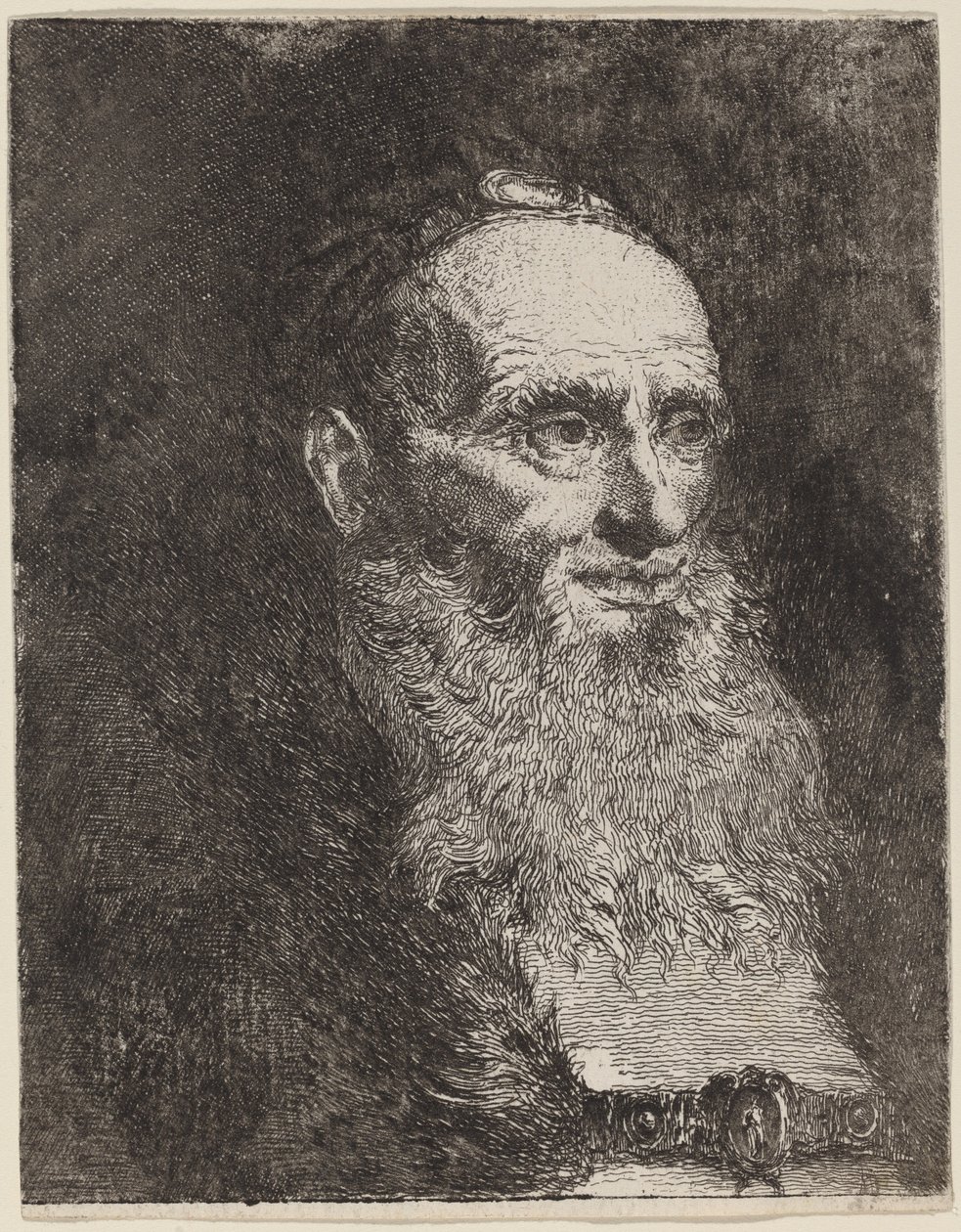 Vieil homme avec une barbe - Giovanni Domenico Tiepolo