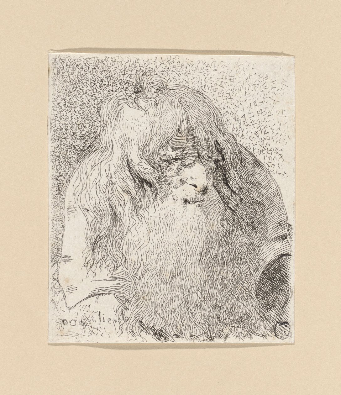 Vieil homme barbu aux cheveux longs, tiré de la *Raccolta di Teste* (Collection de têtes) - Giovanni Domenico Tiepolo