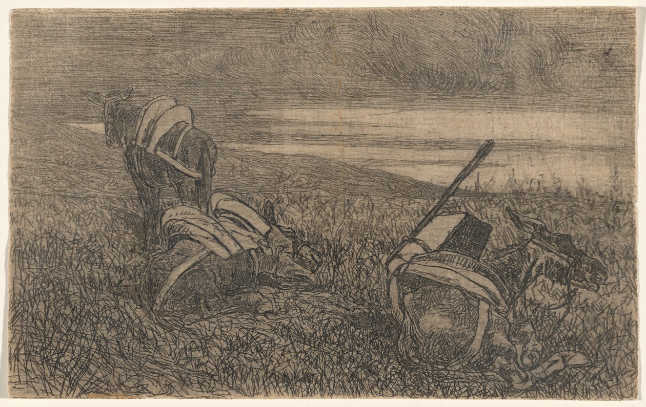 Petits ânes au repos - Giovanni Fattori