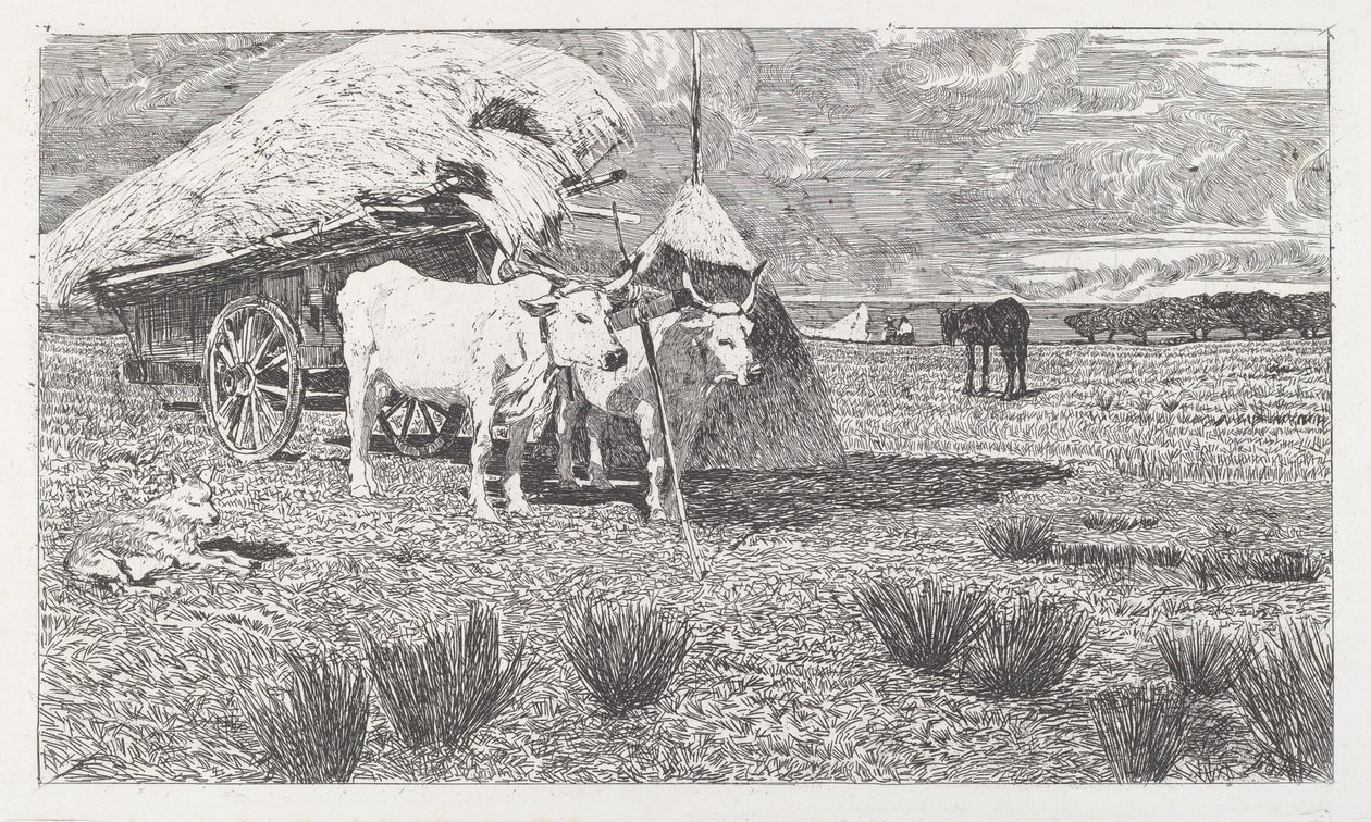 Bœufs attelés à une charrette (Maremme) - Giovanni Fattori
