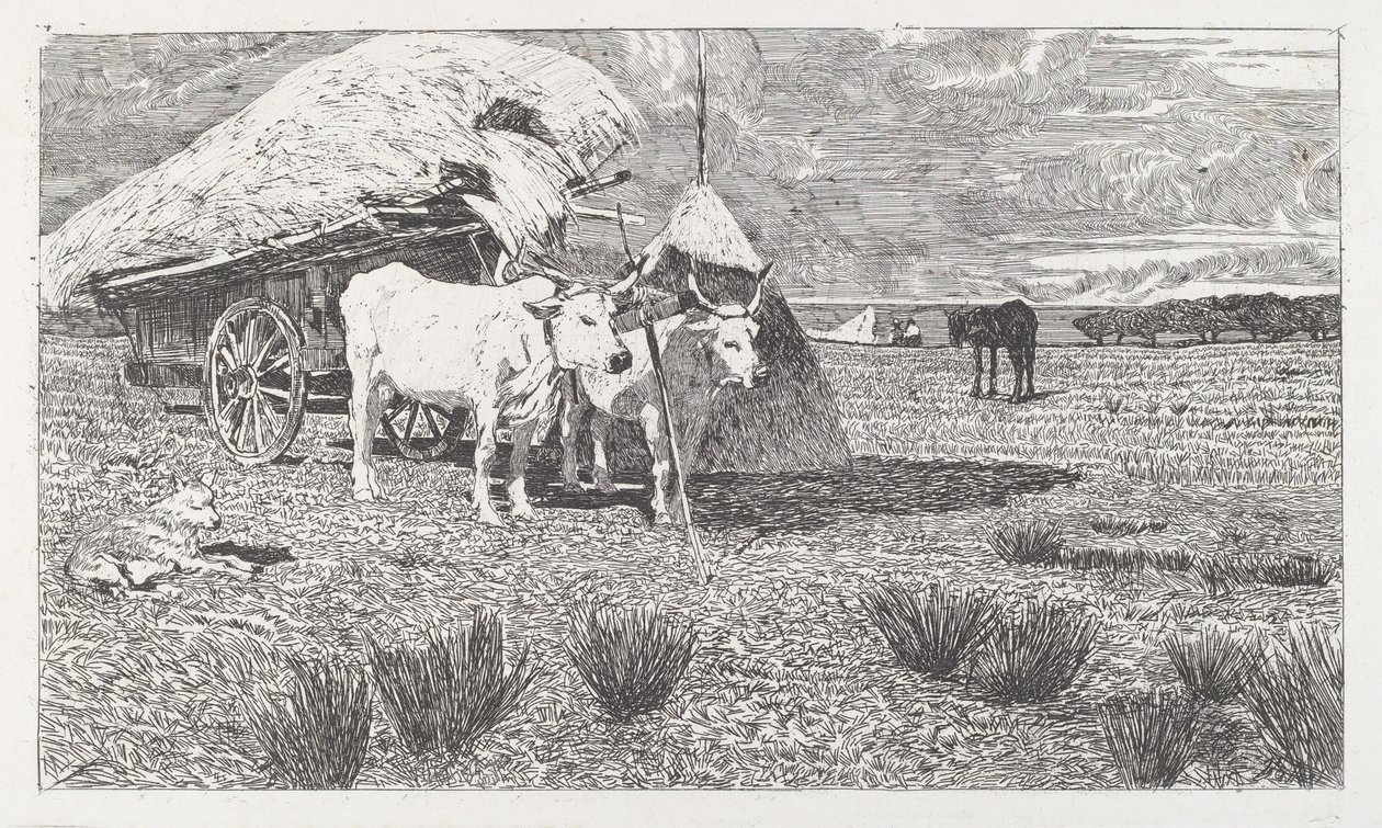 Bœufs attelés au chariot (Maremma) - Giovanni Fattori