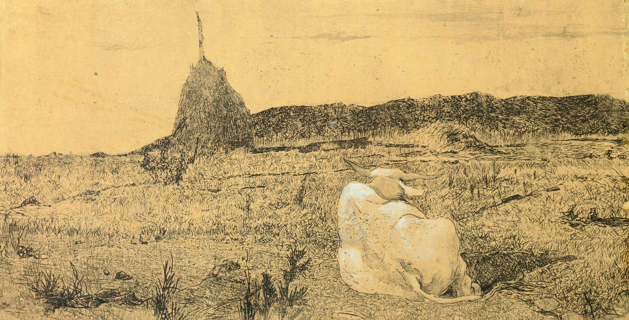 Pio Bove (Bœuf pieux ou paisible) - Giovanni Fattori