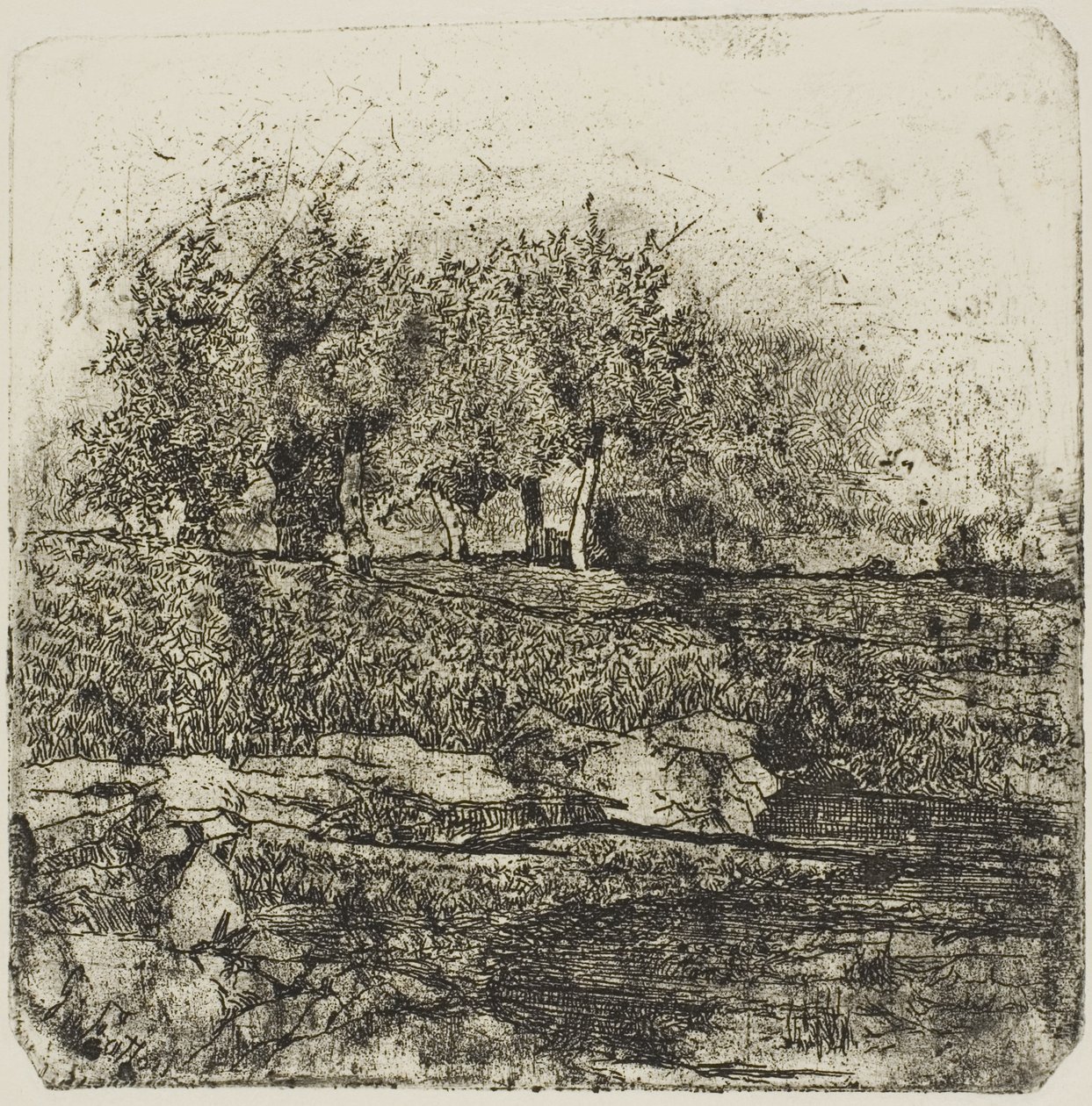 Arbres dans un pré - Giovanni Fattori