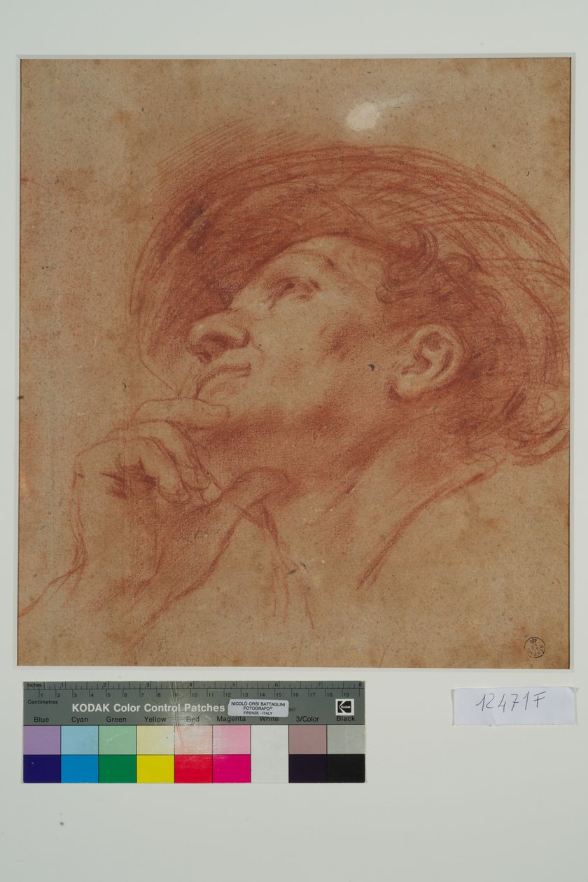 Étude pour la tête du prophète Aggée - Giovanni Francesco Barbieri