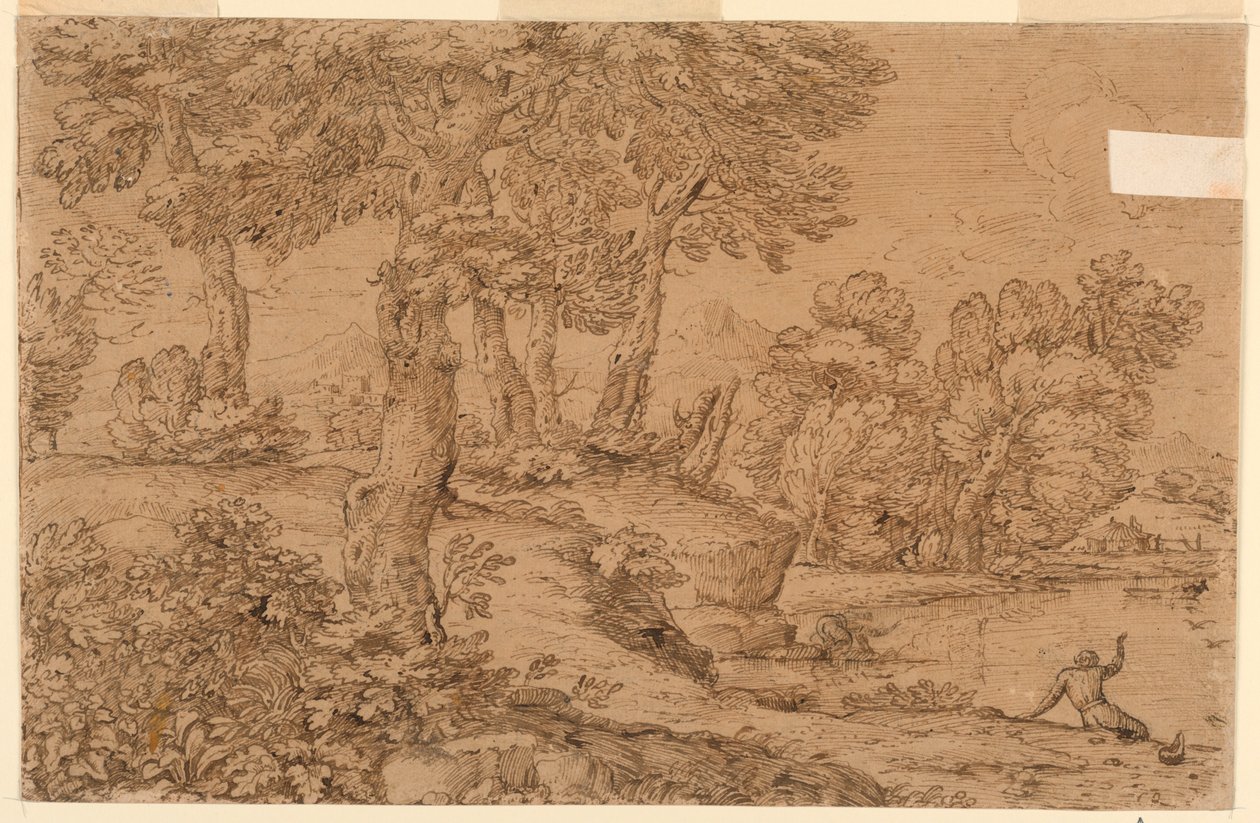 Paysage boisé avec un étang - Giovanni Francesco Grimaldi