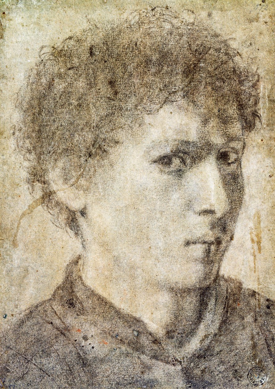 Tête de jeune garçon, dessin de Gian Girolamo Savoldo - Giovanni Girolamo Savoldo