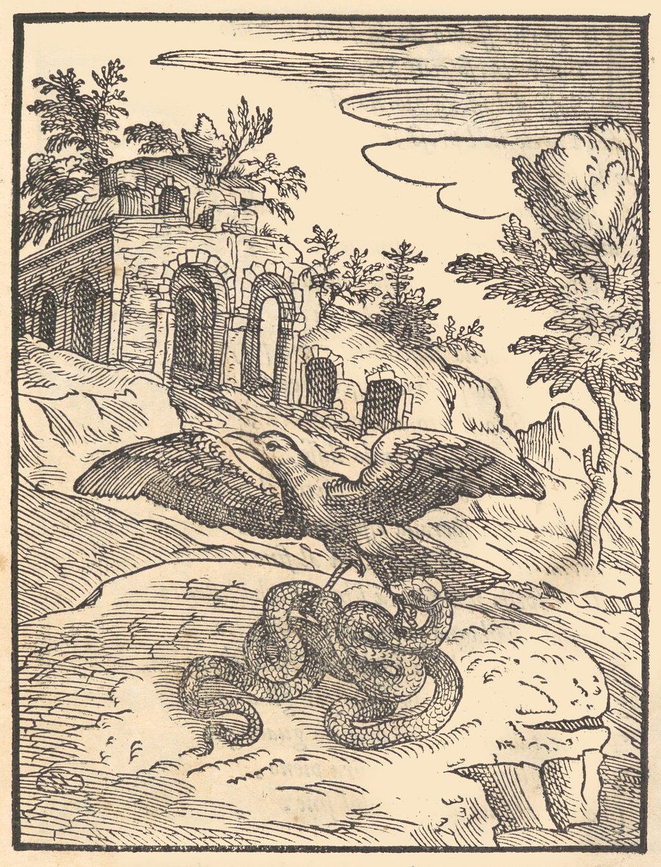 Oiseau et serpent - Giovanni Maria Verdizotti