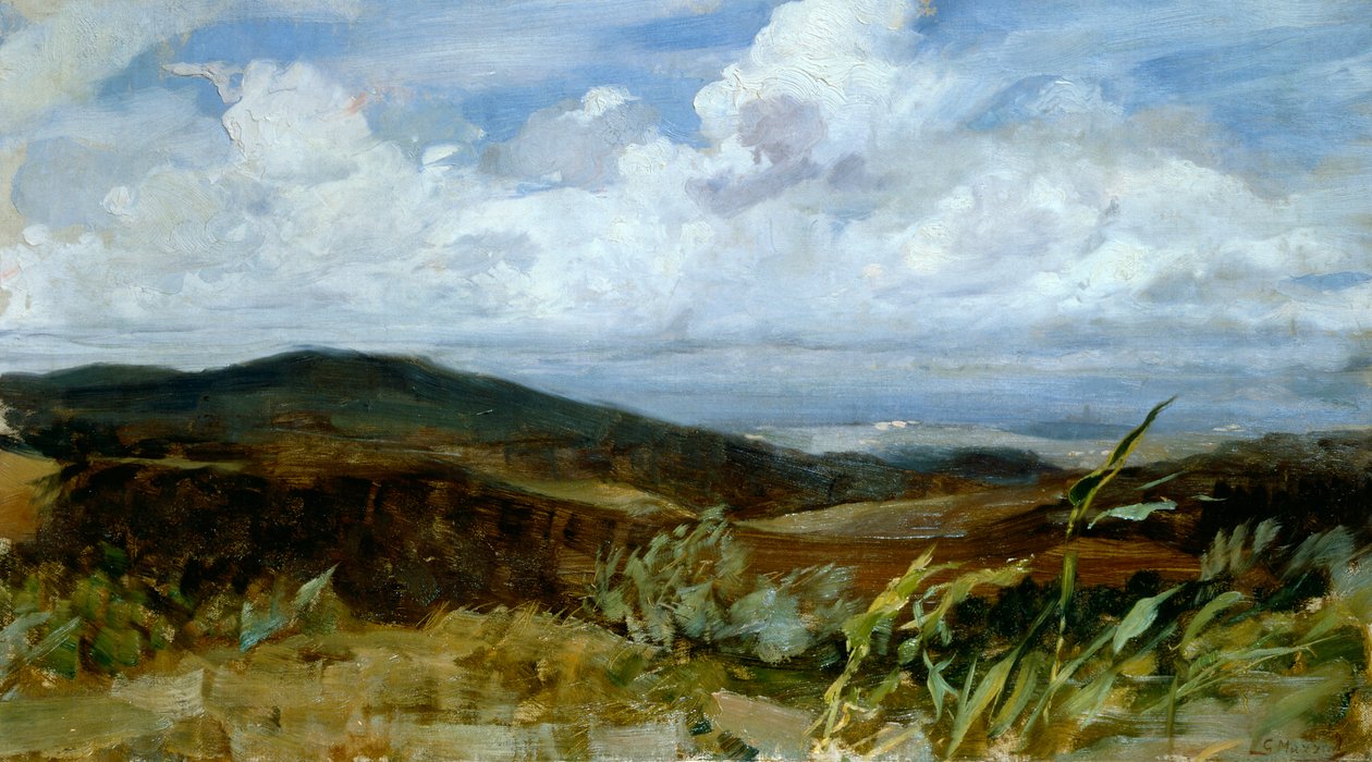 Paysage - Giovanni Muzzioli