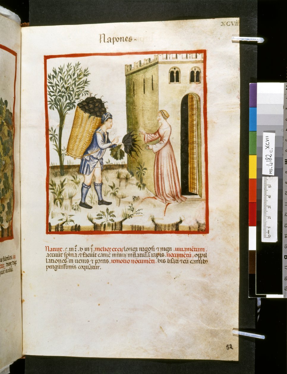 Theatrum sanitatis par Ububchasym de Baldach : 