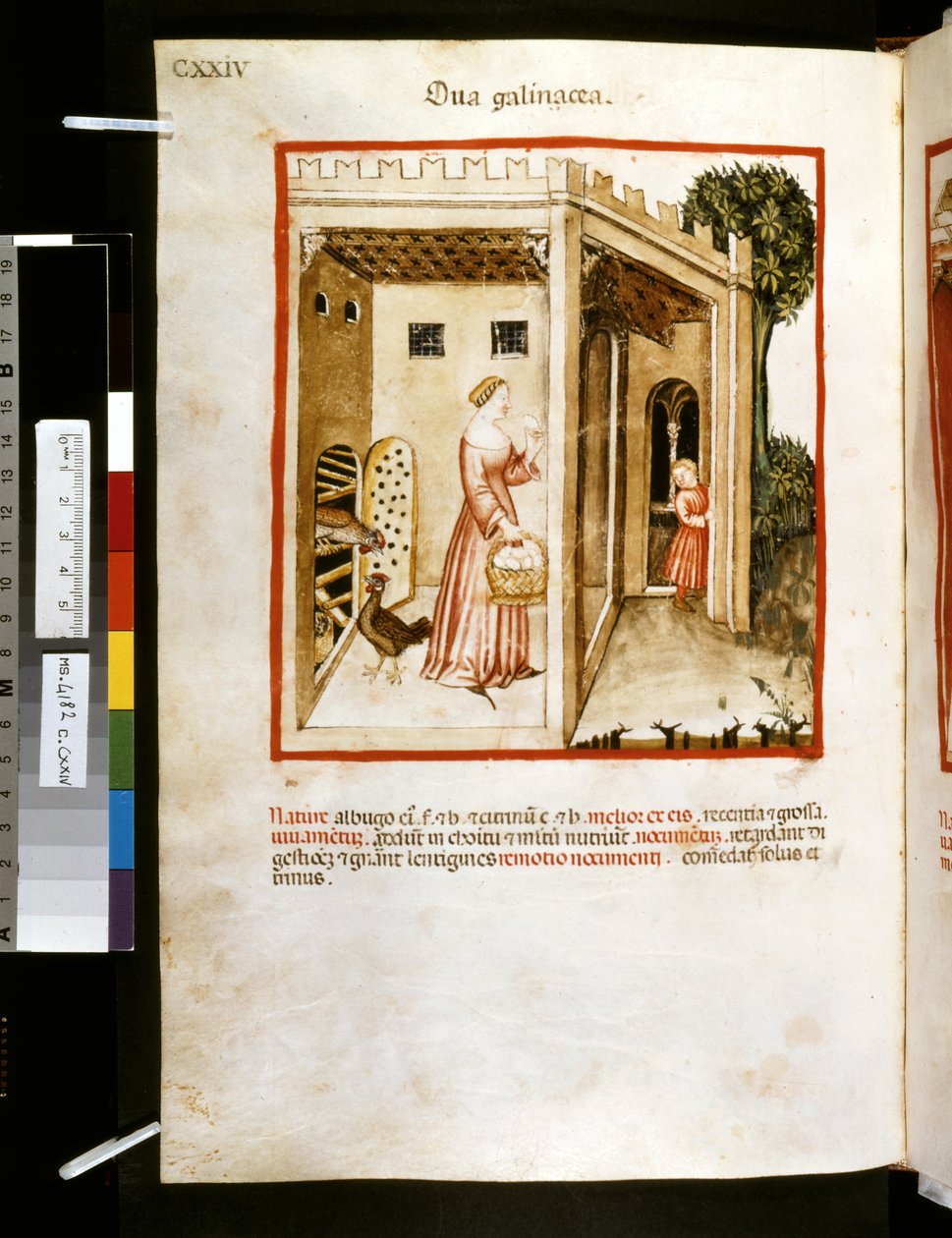Theatrum sanitatis par Ububchasym de Baldach : 