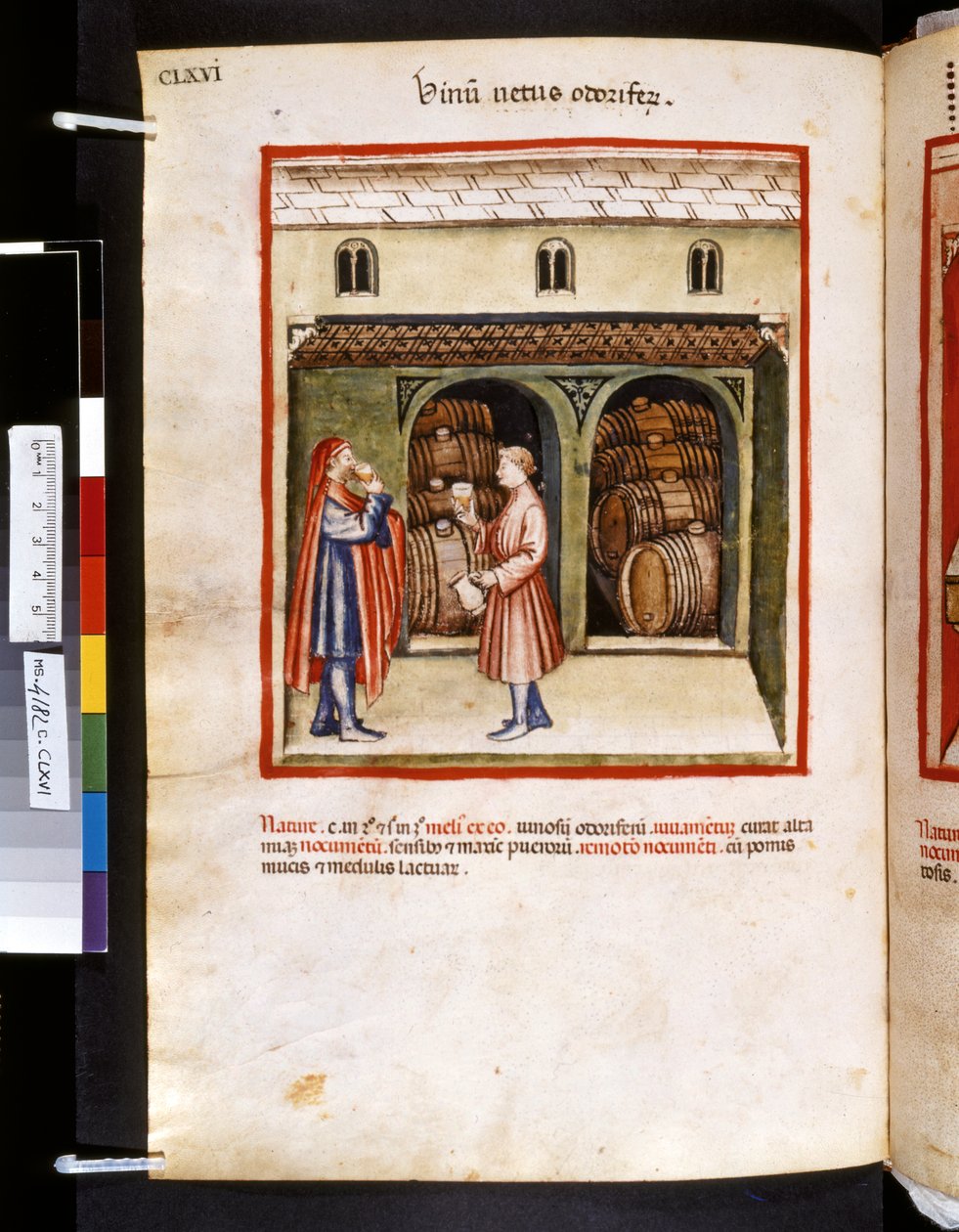 Theatrum sanitatis par Ububchasym de Baldach : 