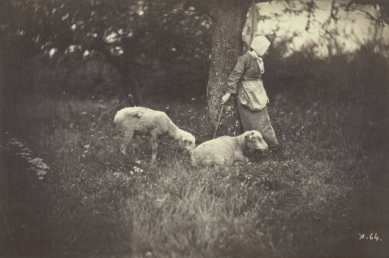 Bergère appuyée contre un arbre, avec deux moutons - Giraudon