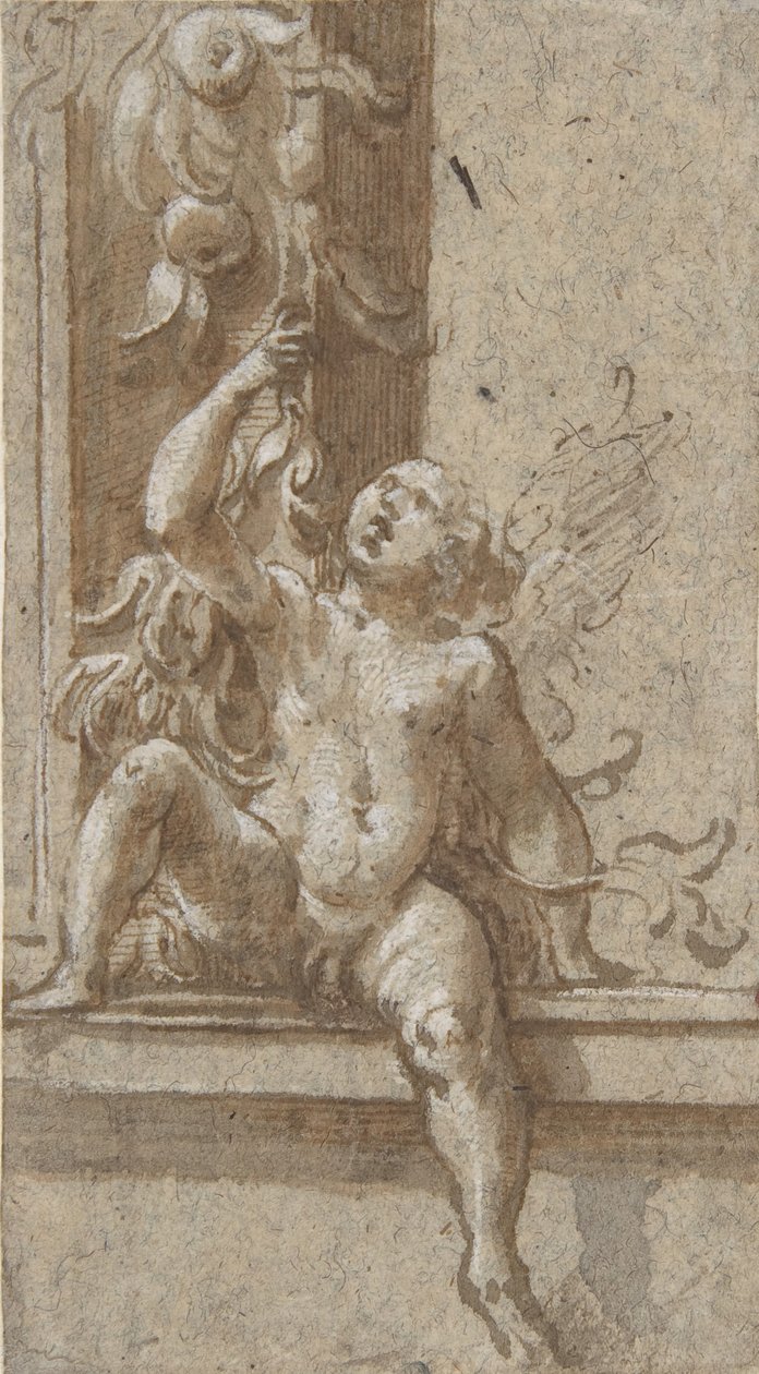 Un putto assis sur un cadre - Girolamo Mazzola Bedoli